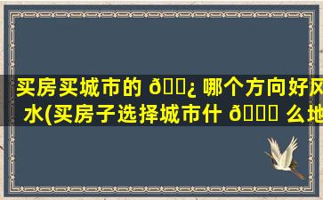 买房买城市的 🌿 哪个方向好风水(买房子选择城市什 🐟 么地方zui
好)